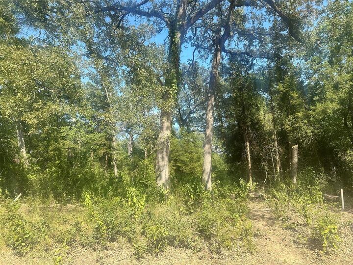 Property Photo: 0 Longhorn Road TX 75156