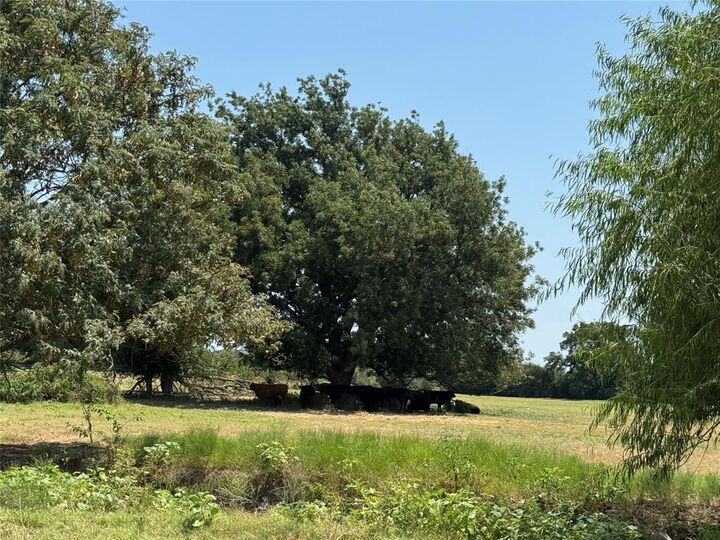 Property Photo:  2800 W Highway 82  TX 76240 