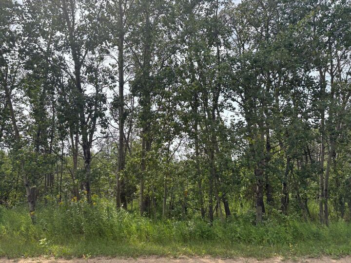 22113 Twp Rd 440 328 — photo 1
