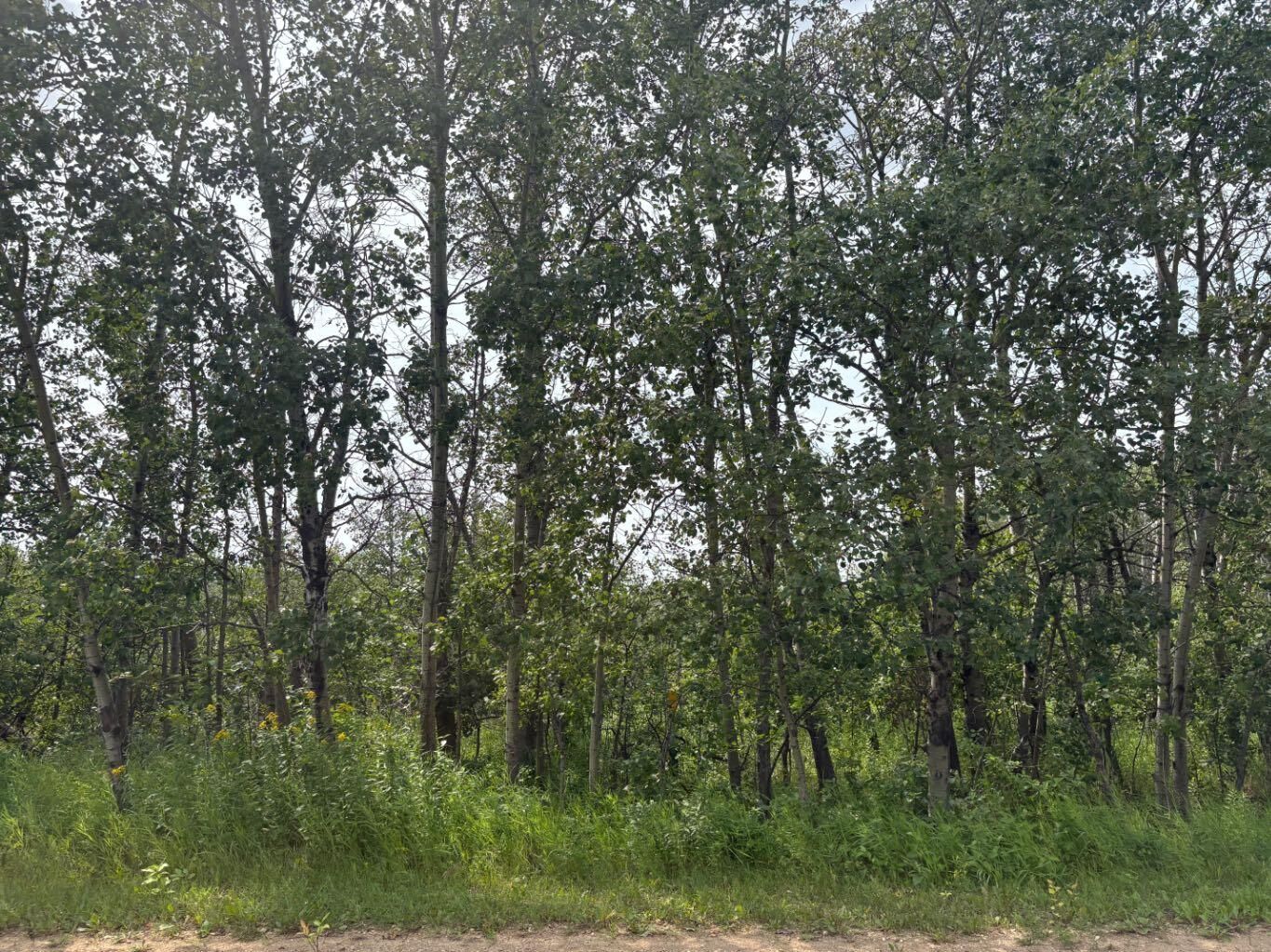Property Photo: 22113 Twp Rd 440 328 AB T0B 1M0