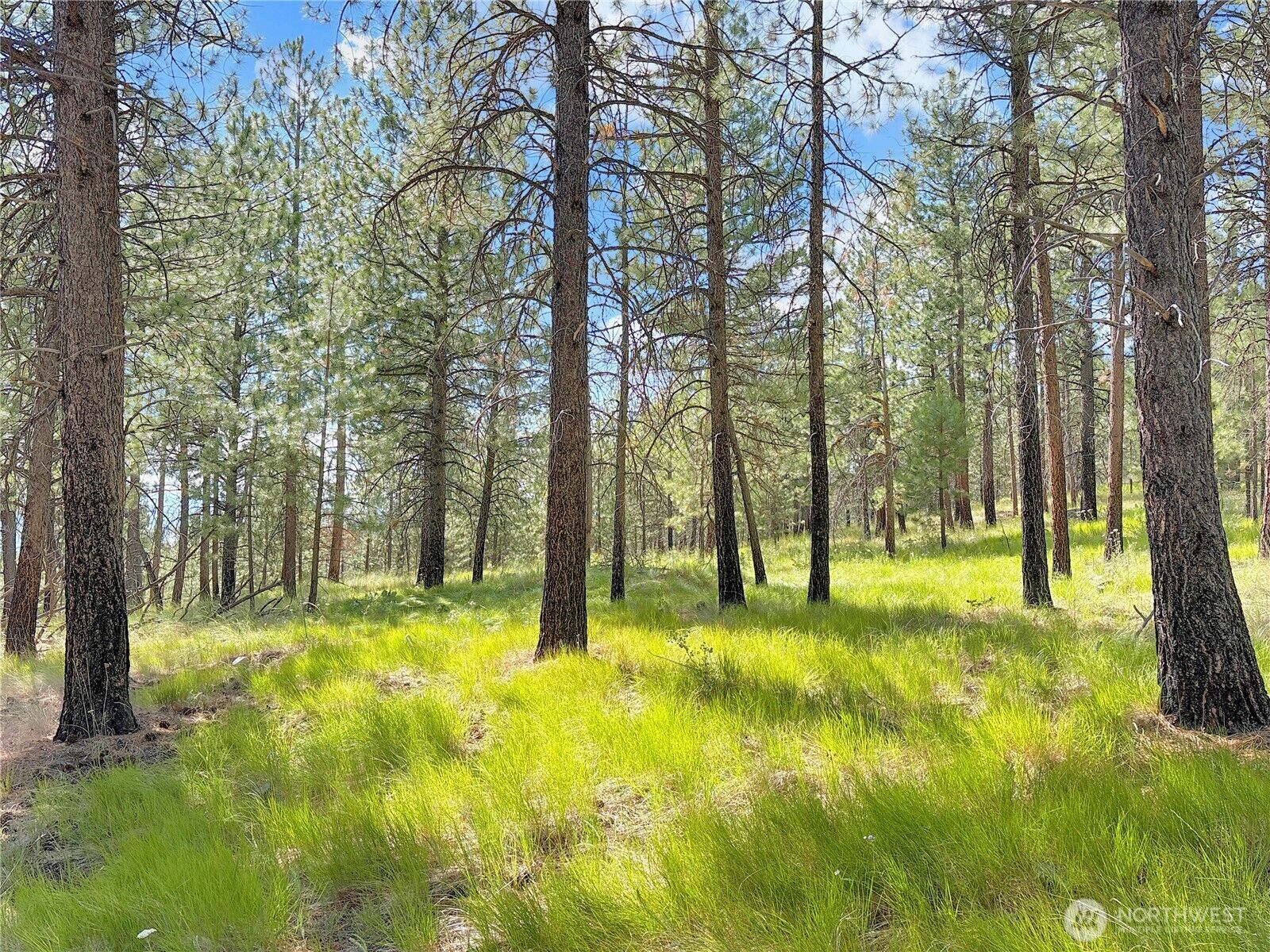 Property Photo: 2 Tanner Short Plat WA 98849