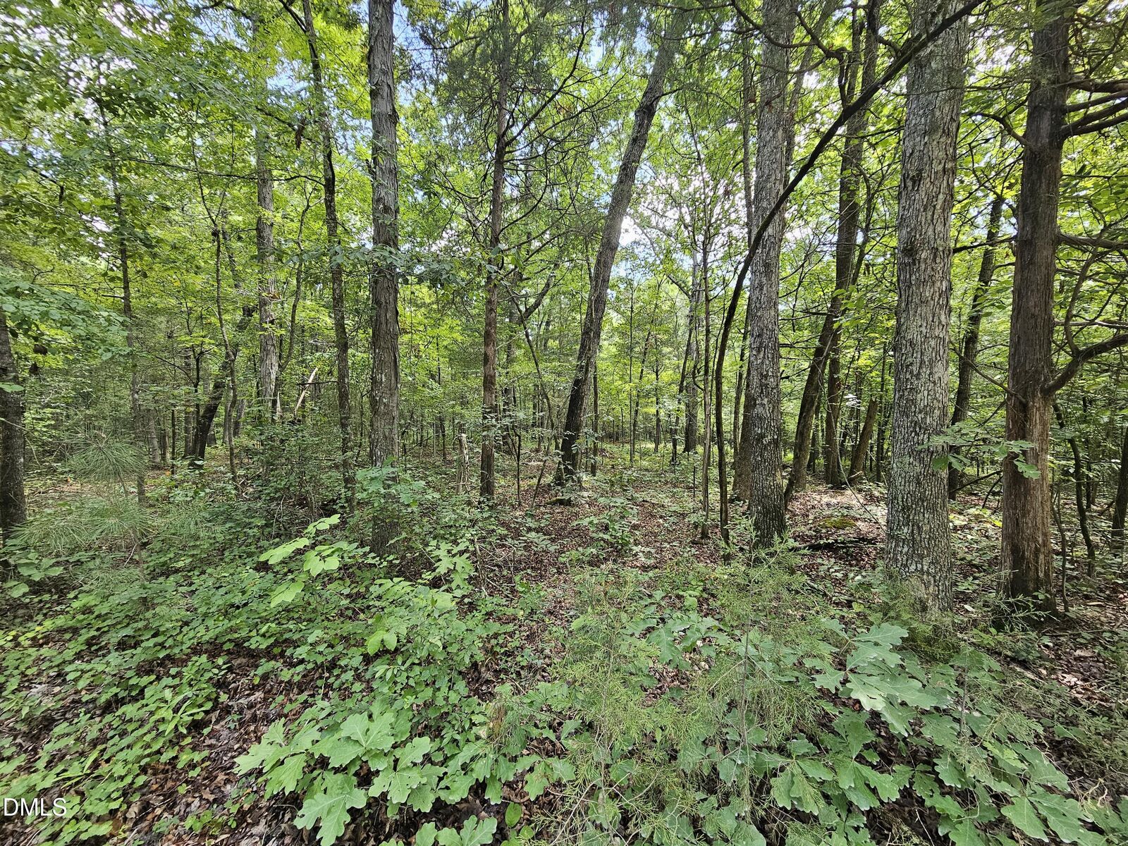 Property Photo:  625 Harts Creek Drive  NC 27312 