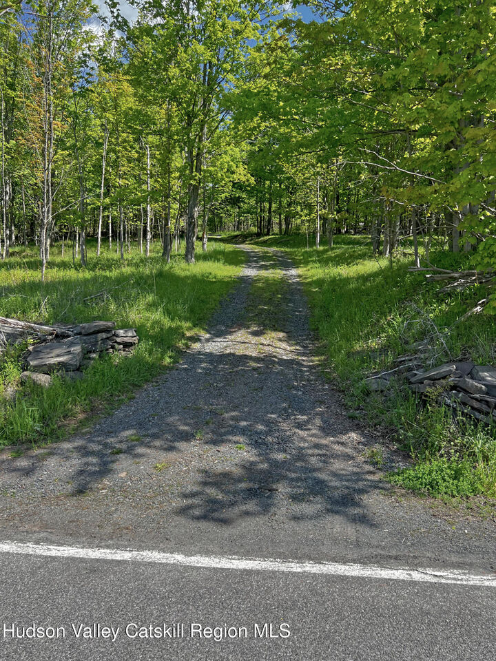 Property Photo:  443 County Road 13  NY 12468 