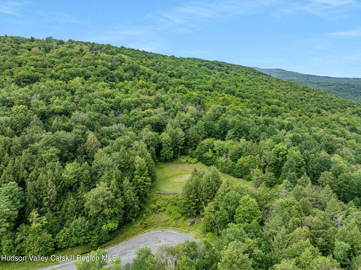 Property Photo: L28.2 Deer NY 12452