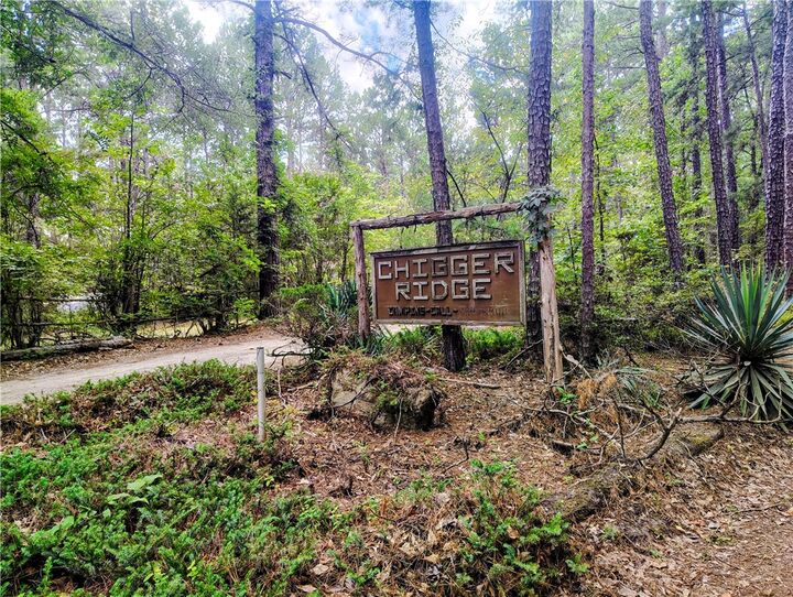Property Photo: 109 Briar Thicket Lane SC 29848