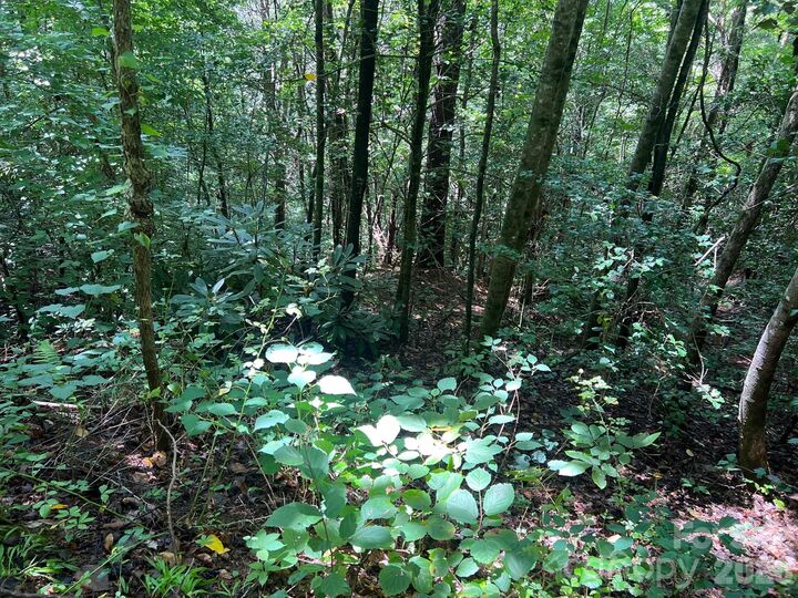 Property Photo: 0 Old Johns River Road NC 28611