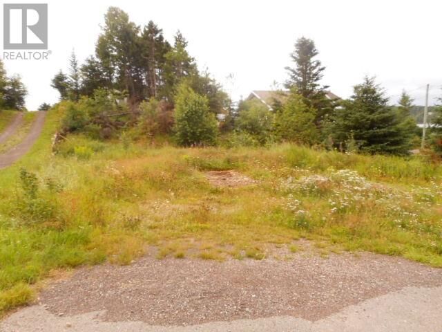 Property Photo:  127 Bayview Road  NL A0J 1T0 