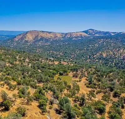 Property Photo: 49610 House Ranch Road CA 93645