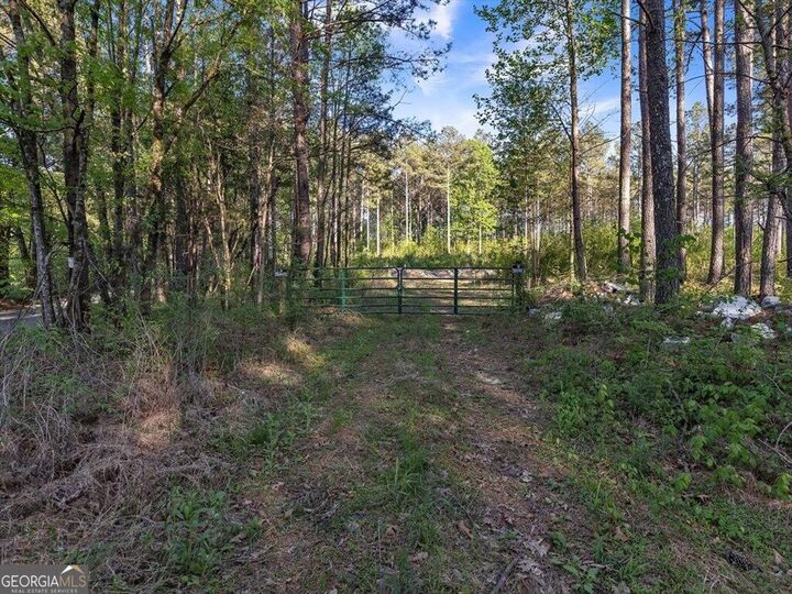 Property Photo:  205+ Ac Maddron Road  GA 30711 