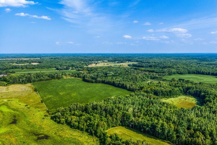 Property Photo: Tbd Buzzle Road NW MN 56676