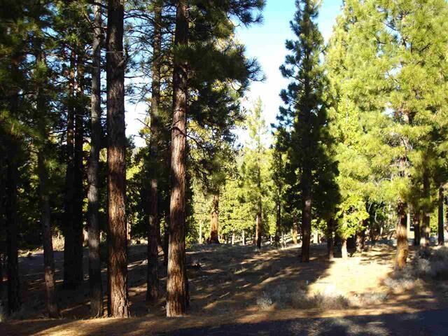Property Photo:  296 Big Cedar Lane  CA 96122 