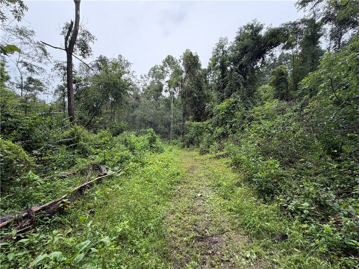 Property Photo:  1258 Covert Rd  PA 16101 