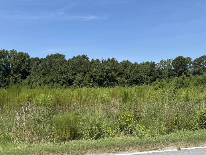 Property Photo:  Tbd Spring Branch Rd.  SC 29581 