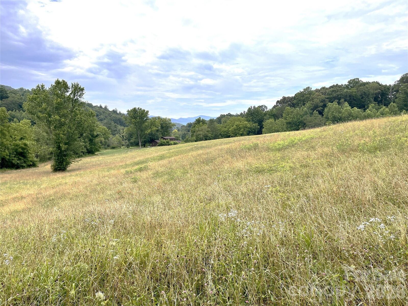 Property Photo:  132 Hurd Road  NC 28716 