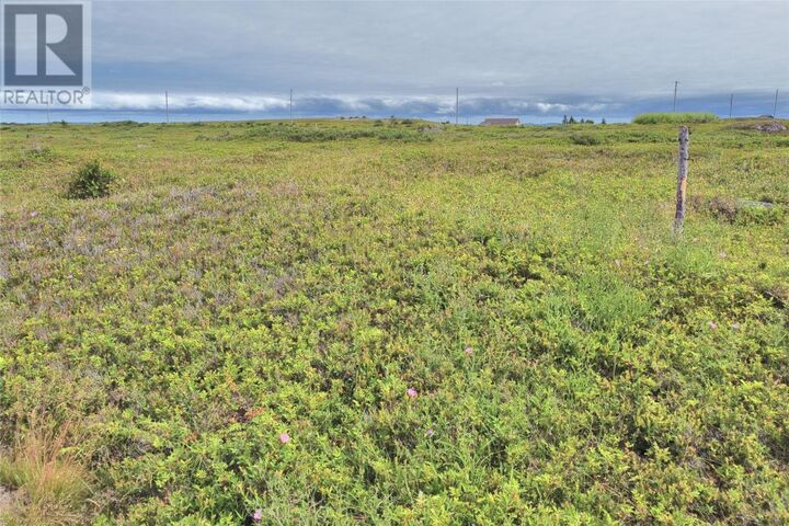 Property Photo:  Lot 2 Lighthouse Road  NL A0A 3J0 