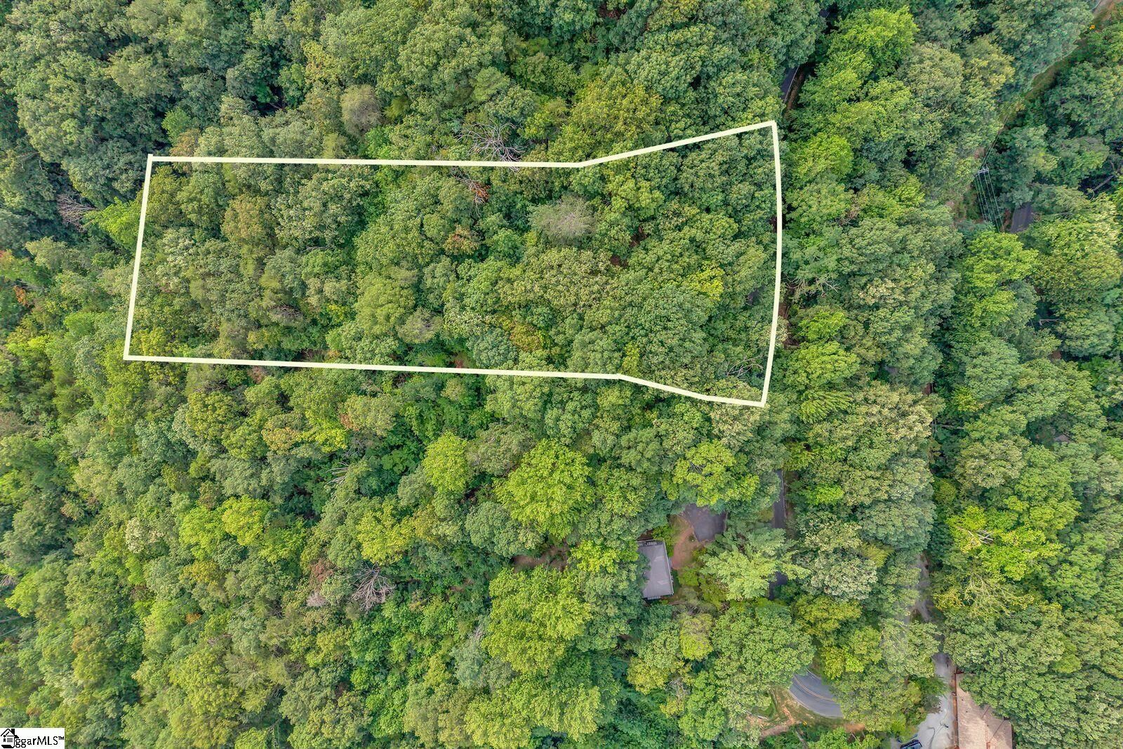 Property Photo: 00 Hogback Mountain Road NC 28782