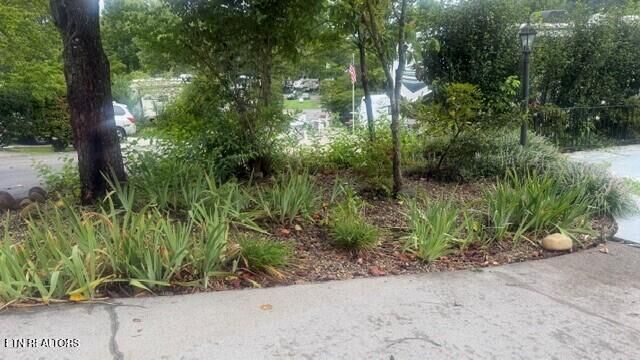 Property Photo: 8450 State Hwy 73 TN 37882