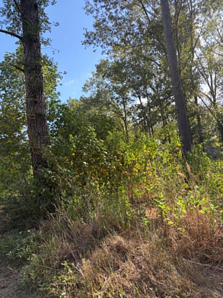 Property Photo:  R(1) 155685 Miles Road  TX 75901 