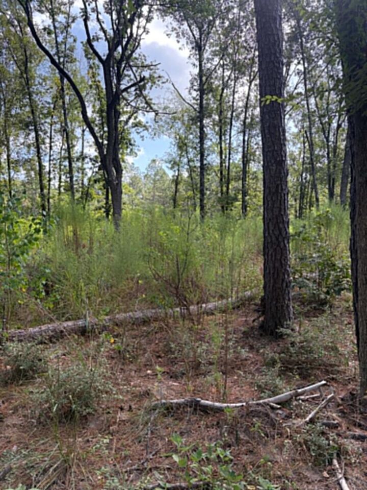 Property Photo:  R(3)155685 Miles Road  TX 75901 