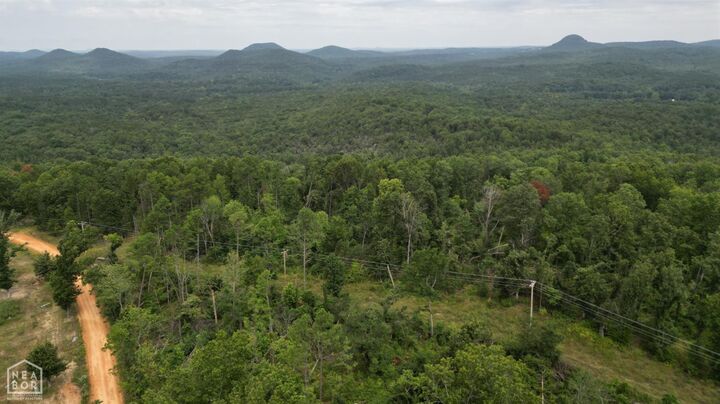Property Photo: 238 Jumbo Rd AR 72556