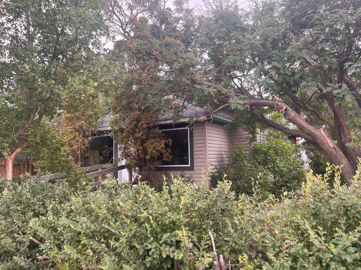 Property Photo: 116 2nd Avenue NE AB T0K 1M0