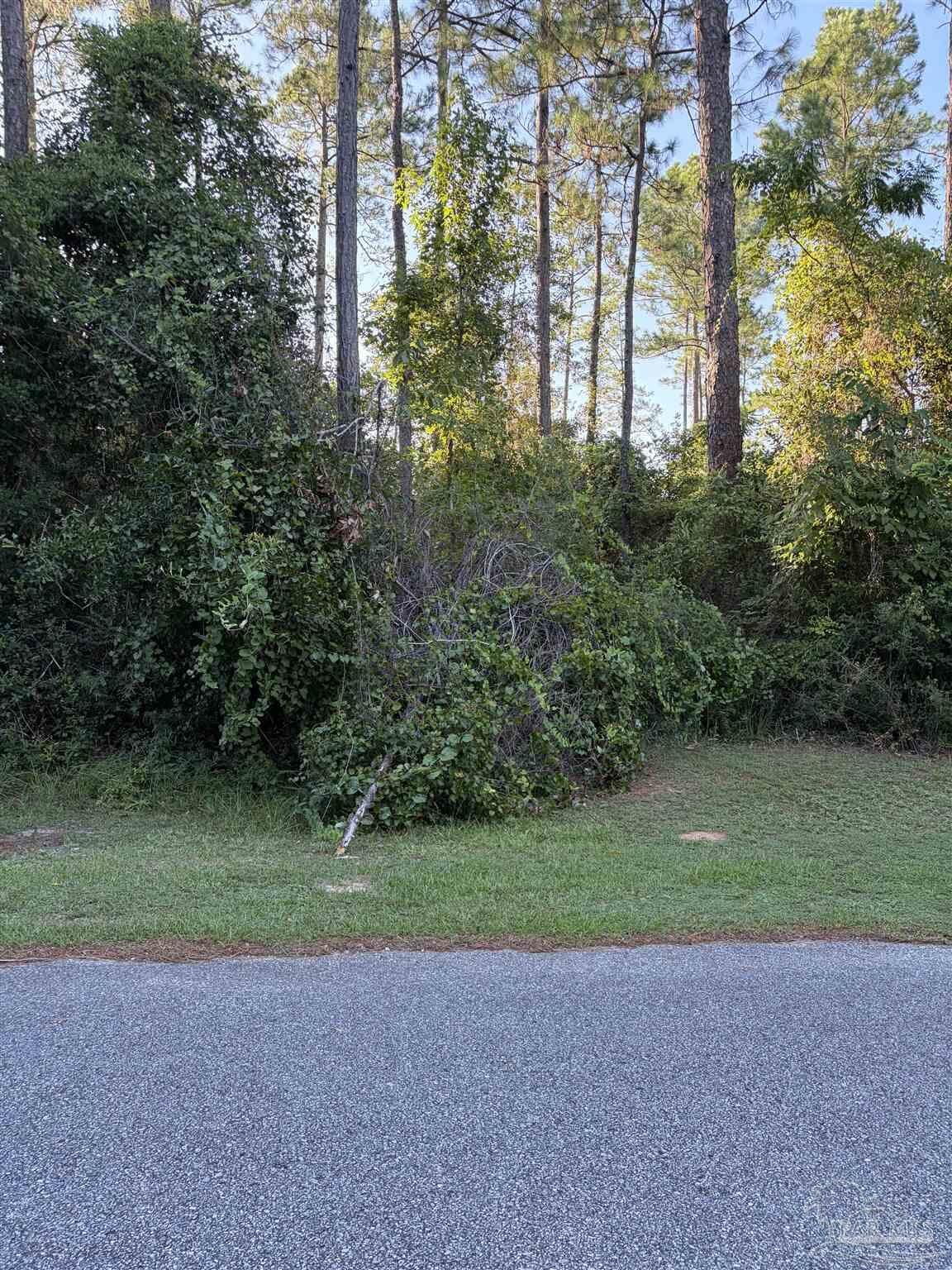 Property Photo:  311 Deerfoot Ln  FL 32533 