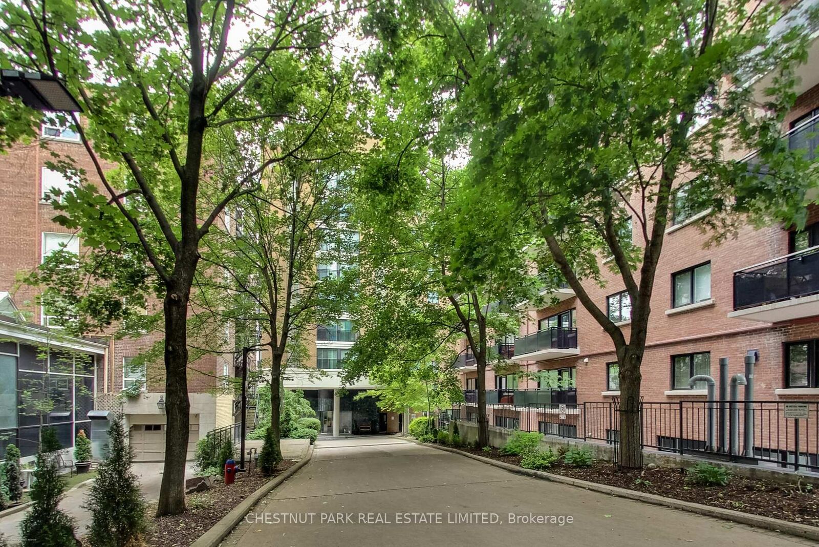 Property Photo:  97 Lawton Boulevard 201  ON M4V 1Z6 