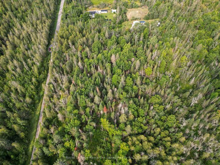 Property Photo:  Lt 4 Dutch Line Road W  ON K0M 2A0 