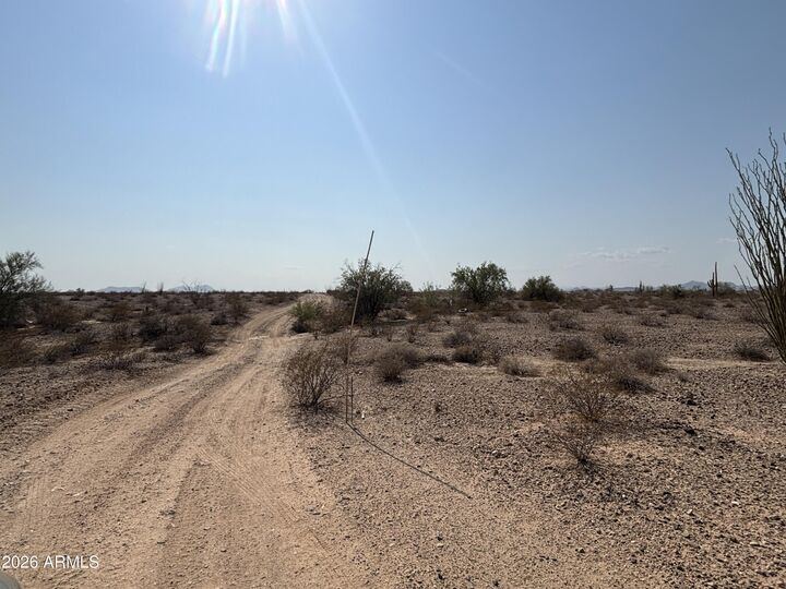 Property Photo:  31402 W Hazelwood Street 73  AZ 85396 