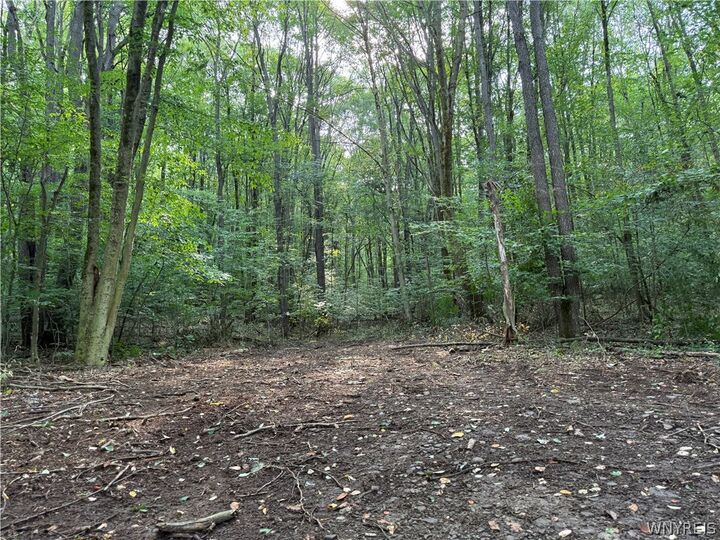 Property Photo: 3992 Bear Hollow Road NY 14741