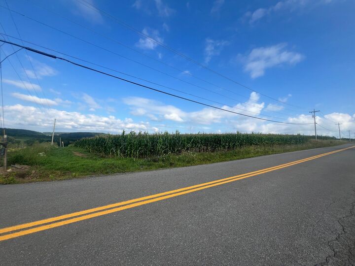 Property Photo:  Green Lantern Road  MD 21539 