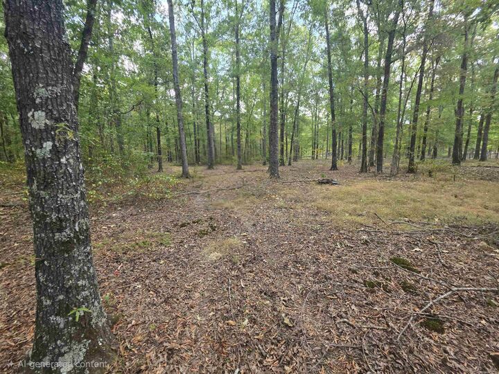 Property Photo:  6532 Sayles Road  AR 72076 