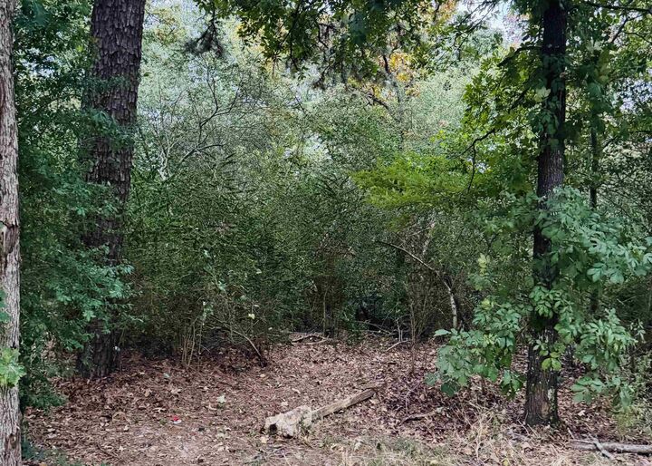 Property Photo: Lot 26 Lee Summit Dr. AR 72202