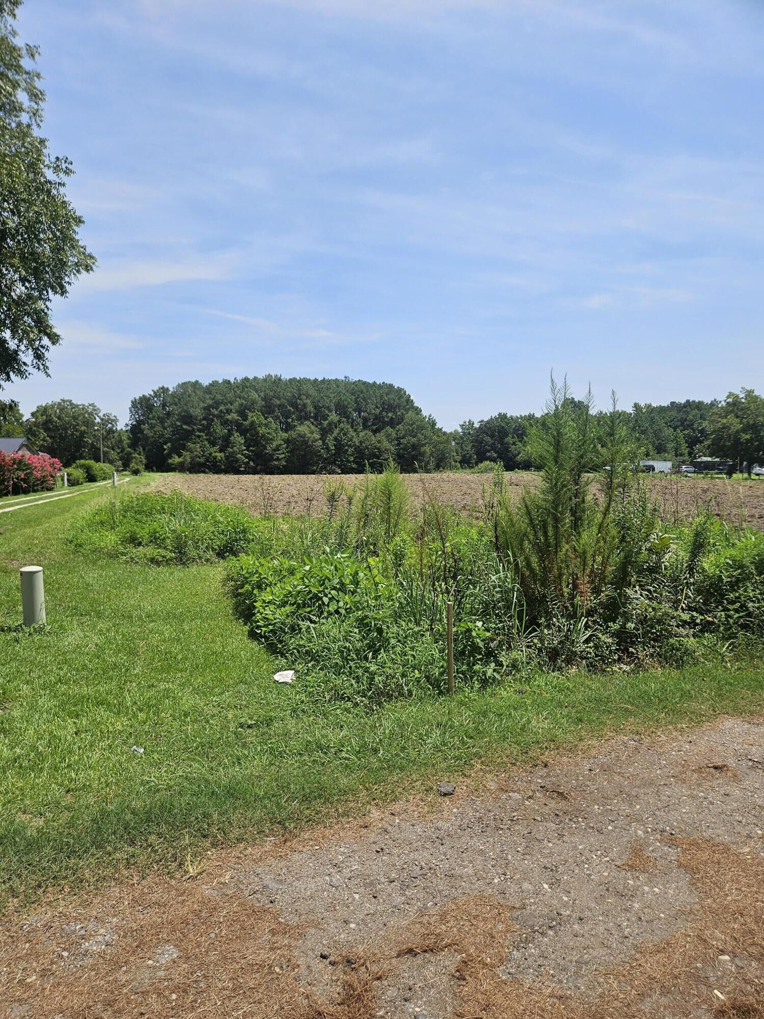 Property Photo: 0 Wolfman Lane SC 29479