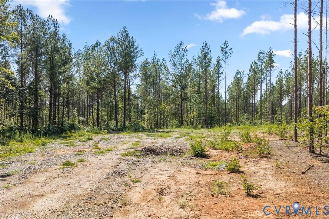Property Photo: 0 Algerene Rd VA 23937