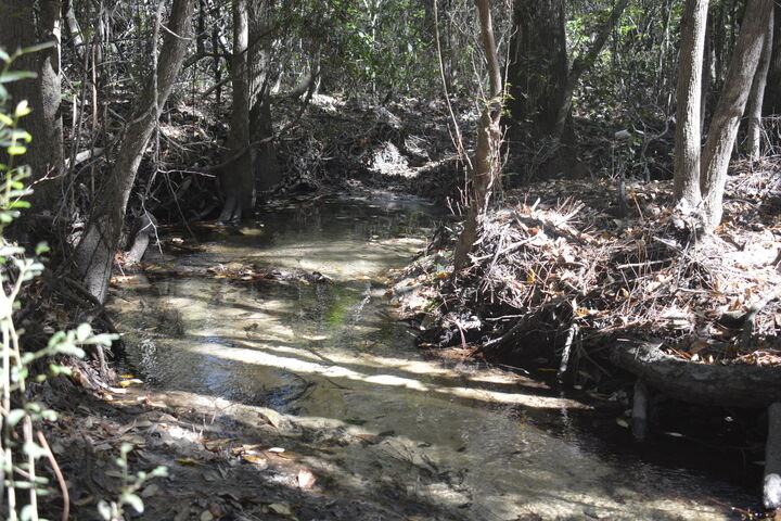 Property Photo:  Xxx 32 Ac. Aplin Road  FL 32539 