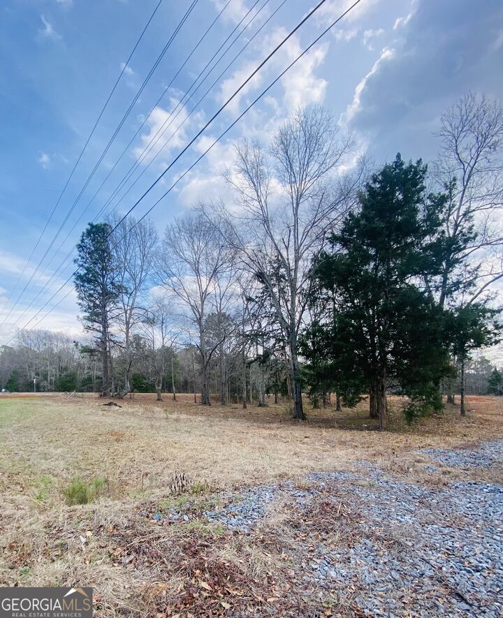 Property Photo: 95 Knight Trail GA 30286