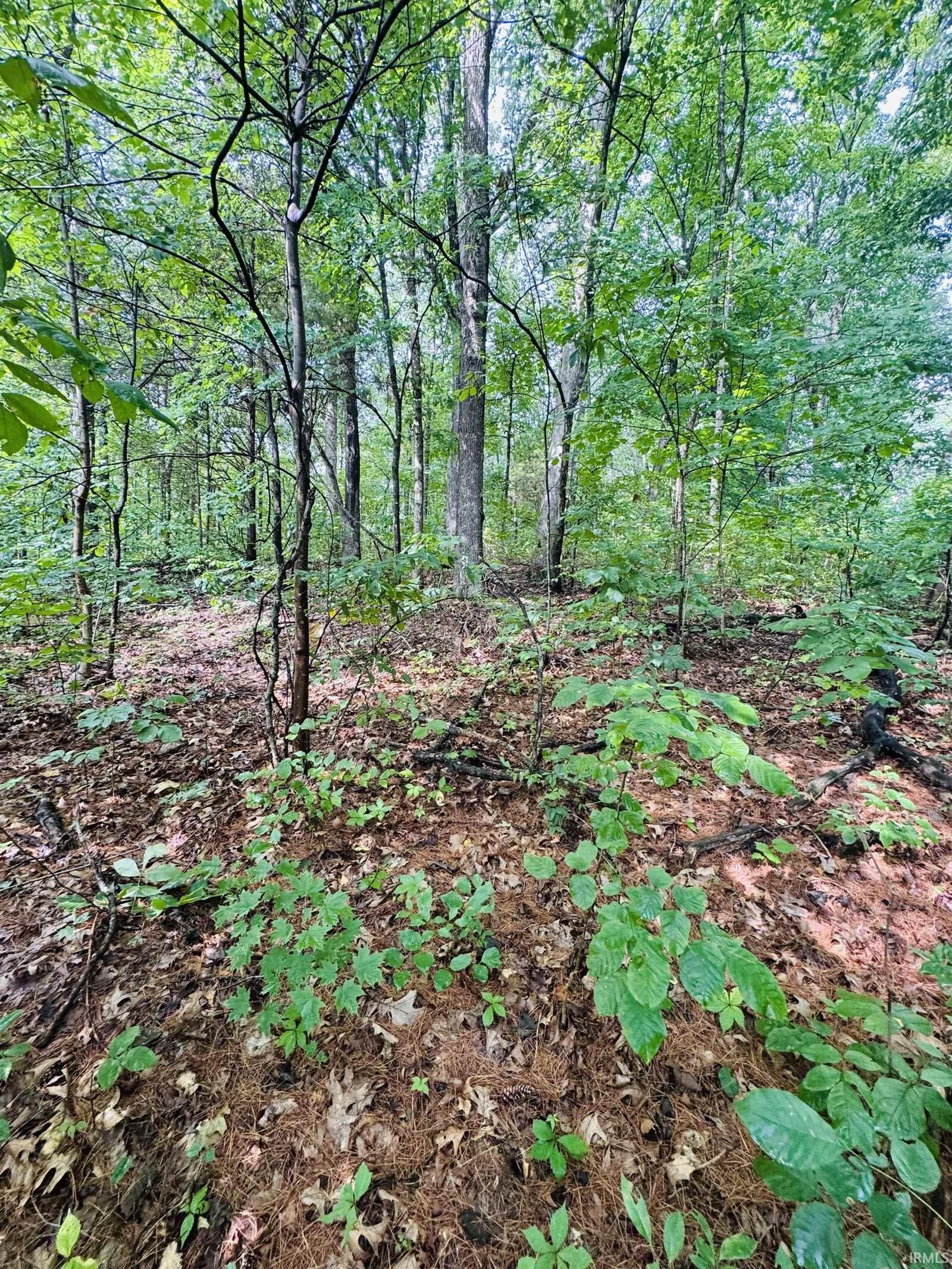 Property Photo:  0 State Road 45 Highway  IN 47424 