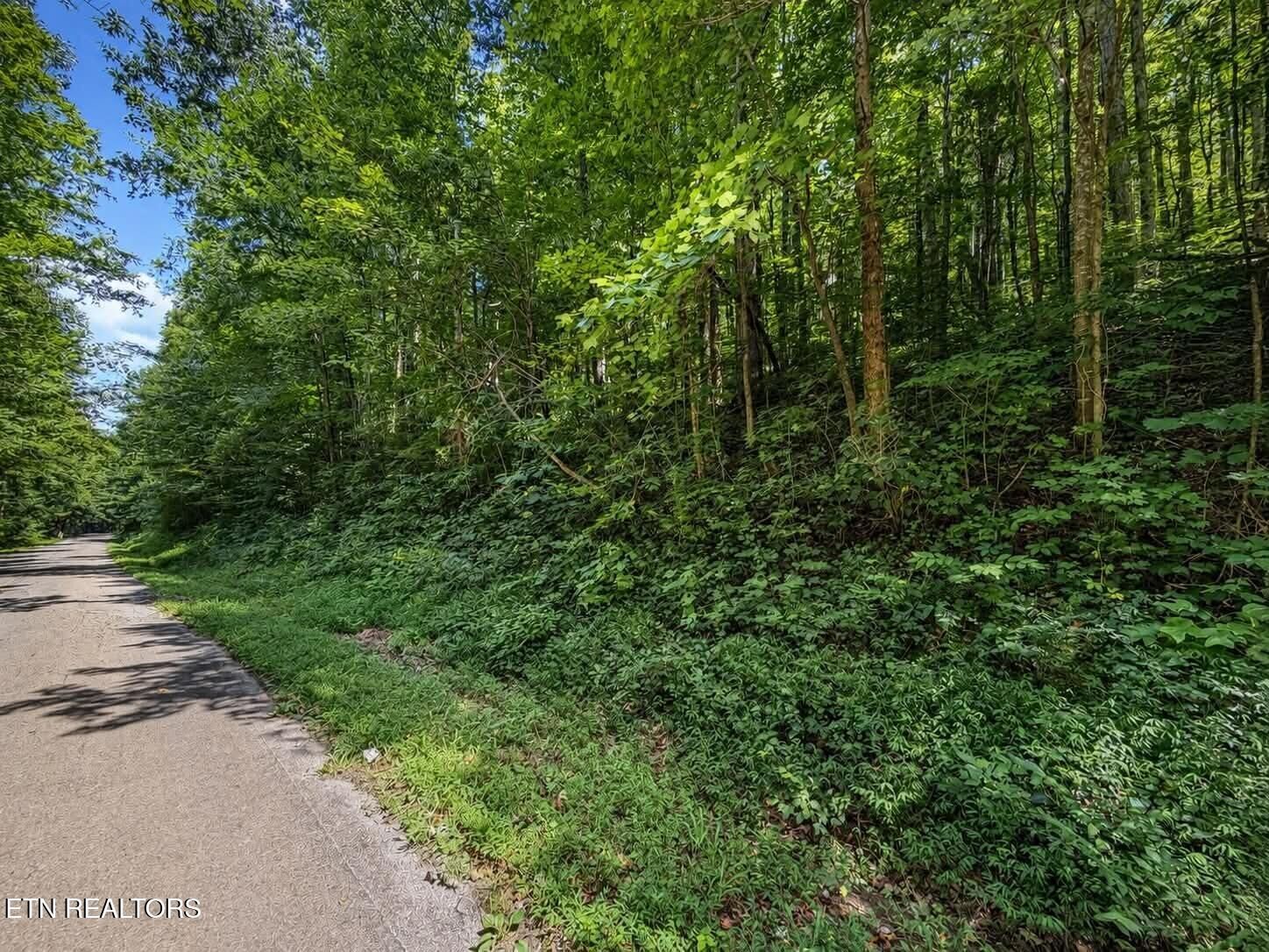 Property Photo:  Johnson Valley Rd  TN 37846 