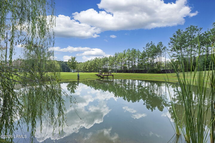 Property Photo: 652 Tillman Road SC 29936