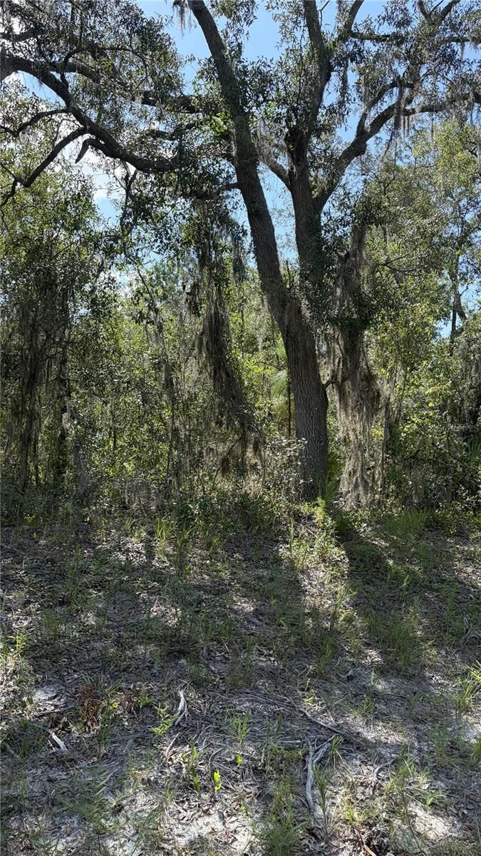 Property Photo: 2199 N Stampede Drive FL 34465
