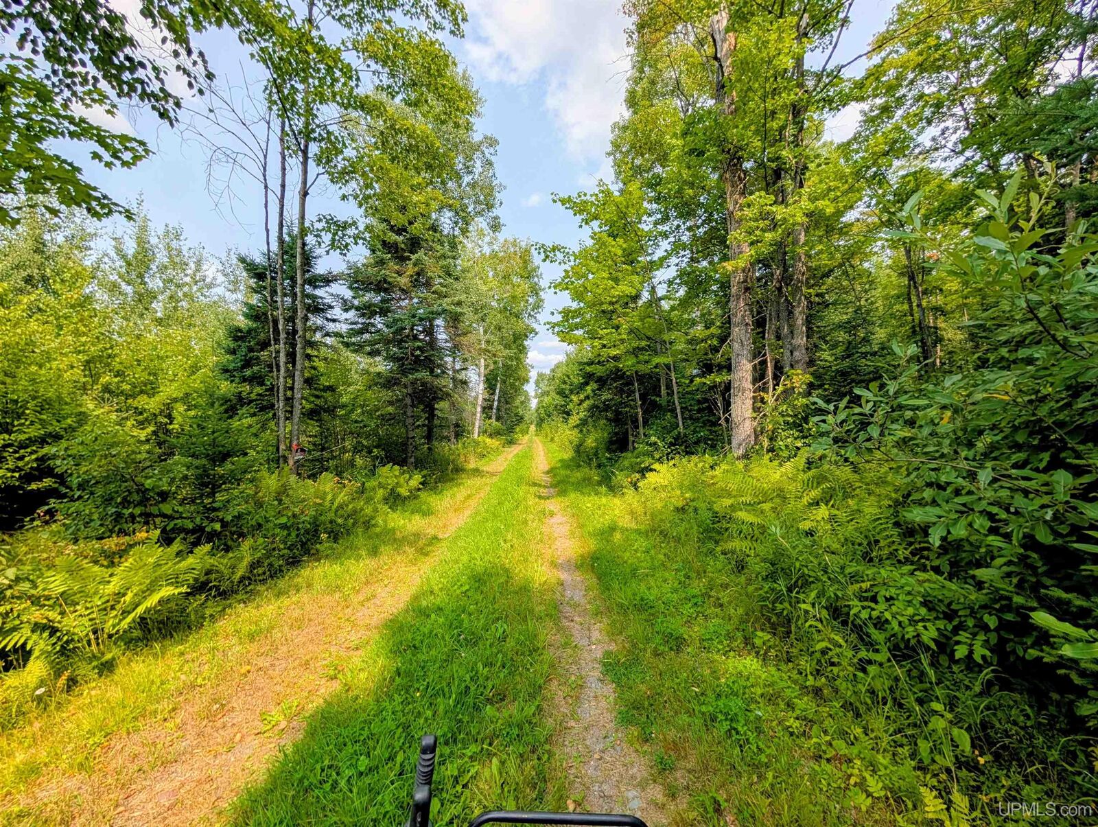 Property Photo:  160 Acres Camp Gibbs Road  MI 49935 