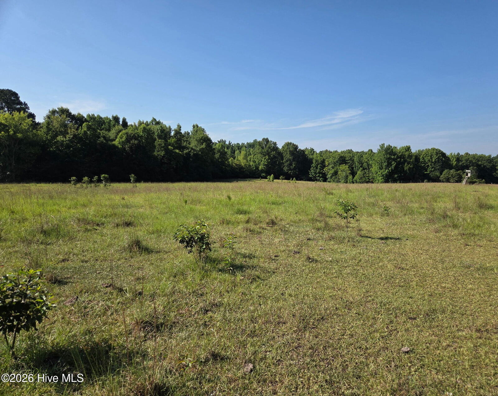 Property Photo:  0 Rocky Branch Church Raod  GA 30821 