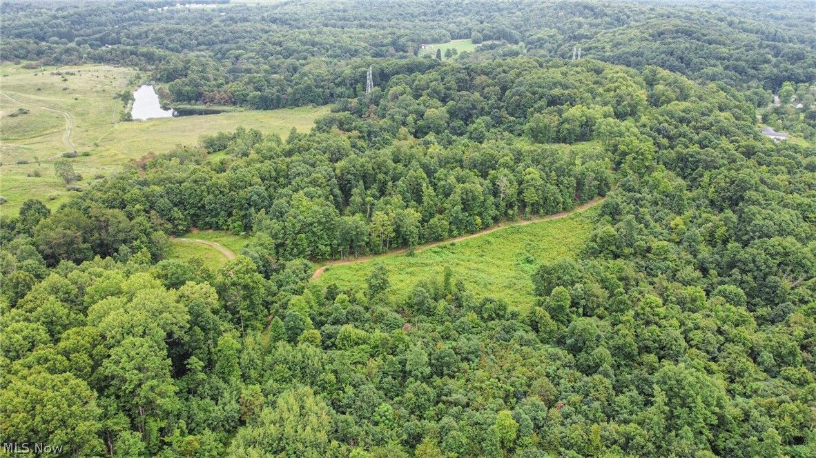 Property Photo: 43998 Hammond School Road OH 43968