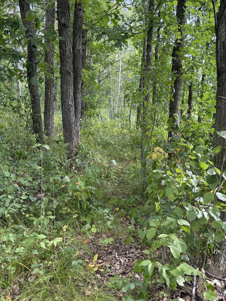 Property Photo:  Xxx Meadowview Road  MN 56401 