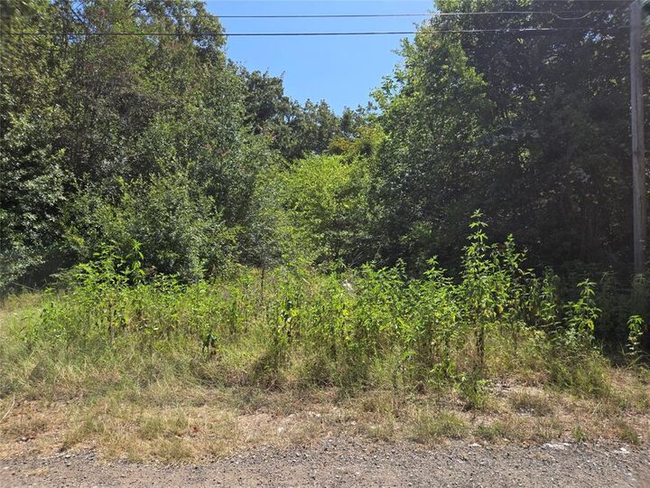 Property Photo: 194 Coahoma TX 75156