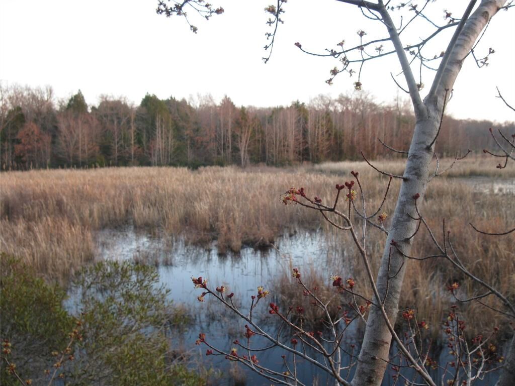 Property Photo: Tbd 133 Ac +- Vz County Road 4701 TX 75754