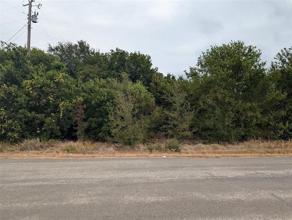 Property Photo:  8919 Cartwright Drive  TX 76035 