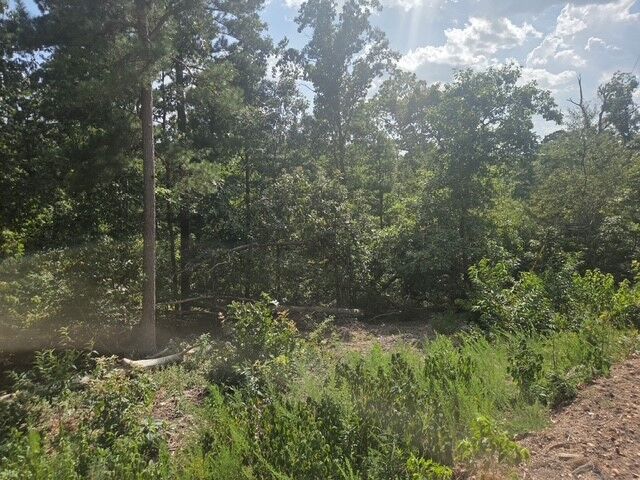Property Photo:  Tbd Wakefield Lane  AR 72715 