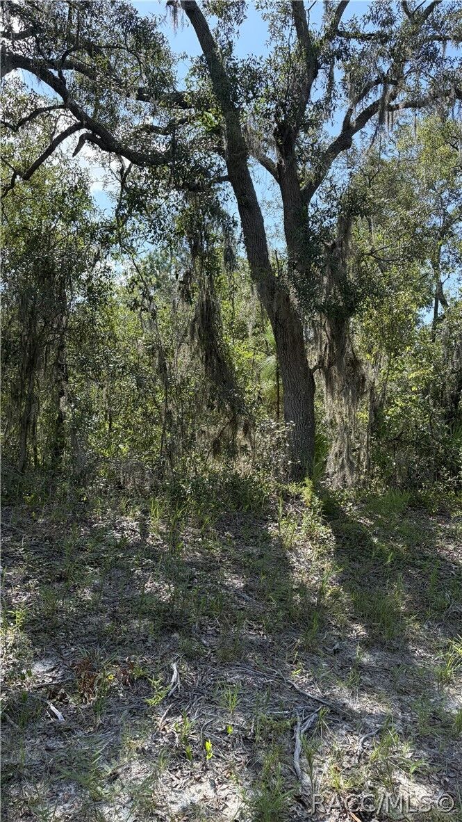Property Photo:  2199 N Stampede Drive  FL 34465 
